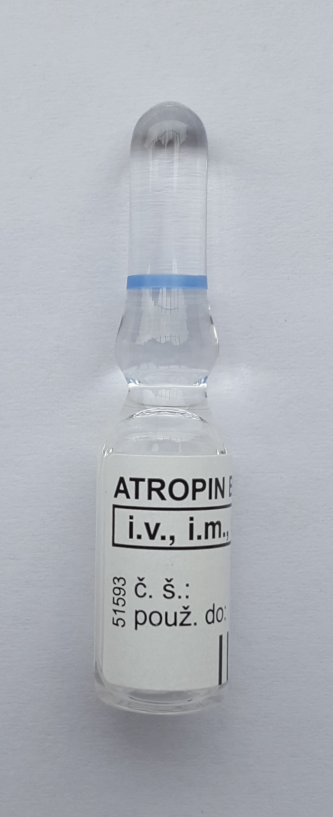 AmoxiCare Feline Antibiotic Injectable